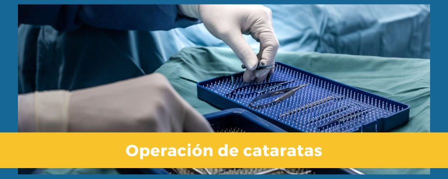 operacion-catarata-perro